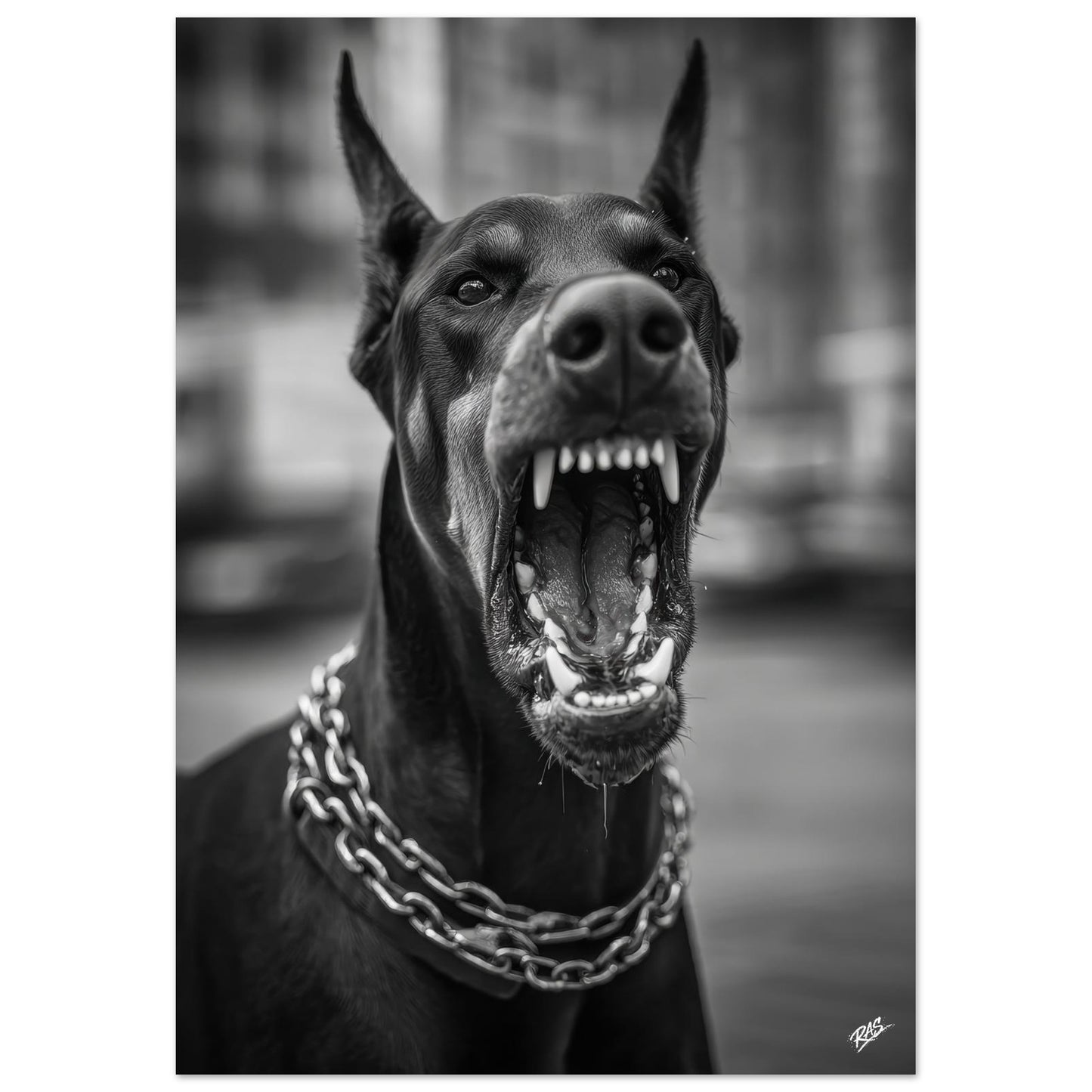 0394b577-d7b5-4120-b558-346f04d5069c